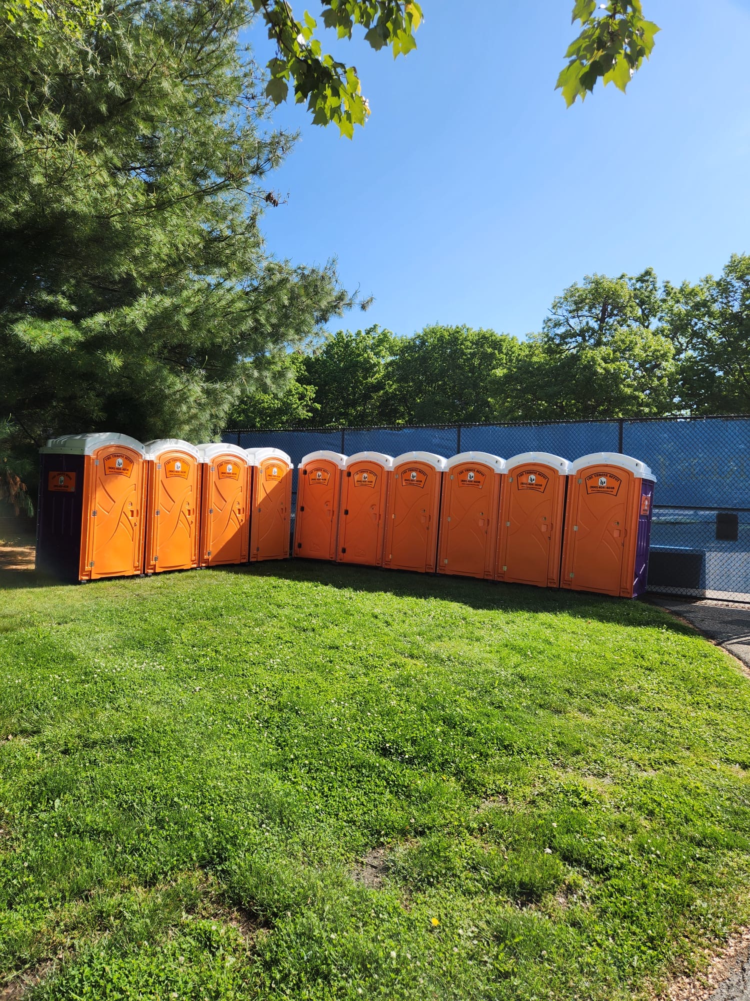 Portable toilets set up in a park for an event, showing practical porta potty rental use