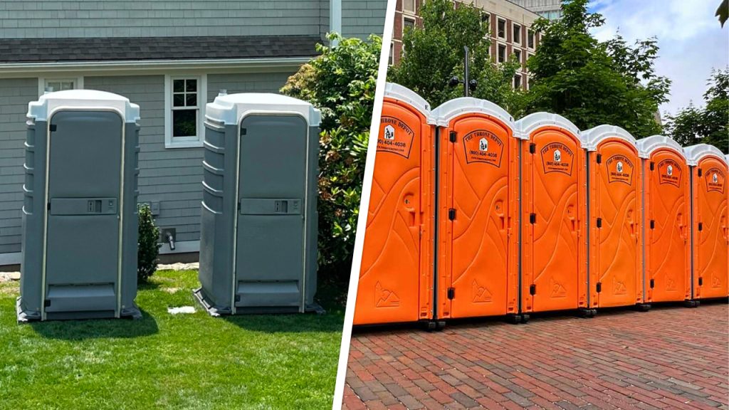 Throne Depot blog luxury vs regular
